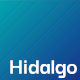 Hidalgo Digital Management LLC Wordmark